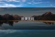 欧美无码