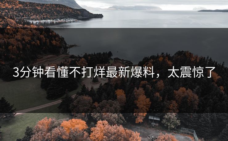 3分钟看懂不打烊最新爆料，太震惊了