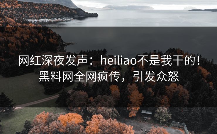 网红深夜发声：heiliao不是我干的！黑料网全网疯传，引发众怒