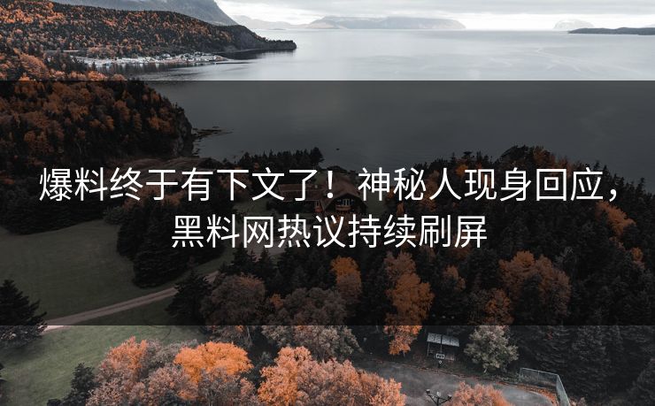 爆料终于有下文了！神秘人现身回应，黑料网热议持续刷屏