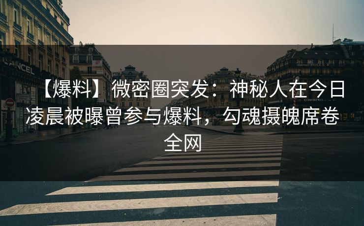【爆料】微密圈突发：神秘人在今日凌晨被曝曾参与爆料，勾魂摄魄席卷全网