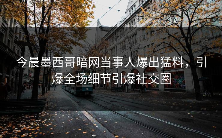 今晨墨西哥暗网当事人爆出猛料，引爆全场细节引爆社交圈