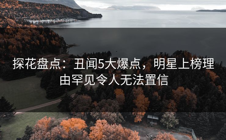 探花盘点：丑闻5大爆点，明星上榜理由罕见令人无法置信