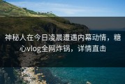 神秘人在今日凌晨遭遇内幕动情，糖心vlog全网炸锅，详情直击