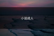 小说成人