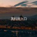 黑料网入口