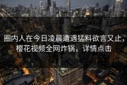 圈内人在今日凌晨遭遇猛料欲言又止，樱花视频全网炸锅，详情点击