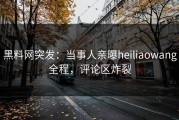 黑料网突发：当事人亲曝heiliaowang全程，评论区炸裂