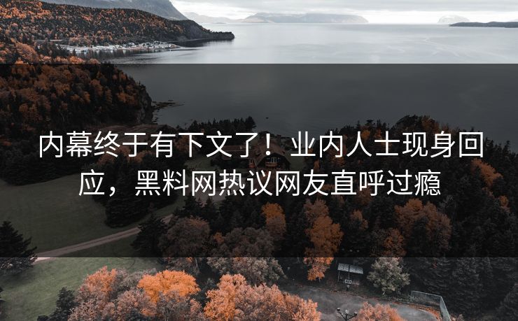内幕终于有下文了！业内人士现身回应，黑料网热议网友直呼过瘾